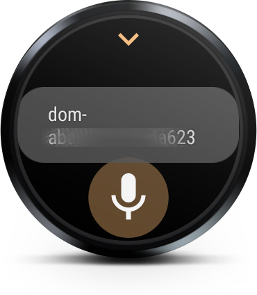 AIS Dom